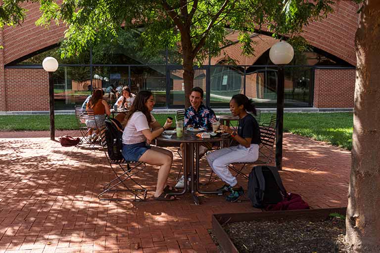 Students sit at two outdoor tables studying on a summer day